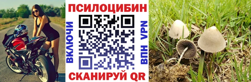Псилоцибиновые грибы ЛСД  Купить где  Великие Луки 