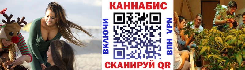 Купить закладки  Великие Луки  МАРИХУАНА планчик 
